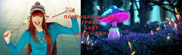 кристаллы Гусь-Хрустальный
