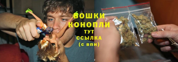 кристаллы Гусь-Хрустальный
