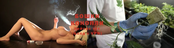 ешки Гусиноозёрск