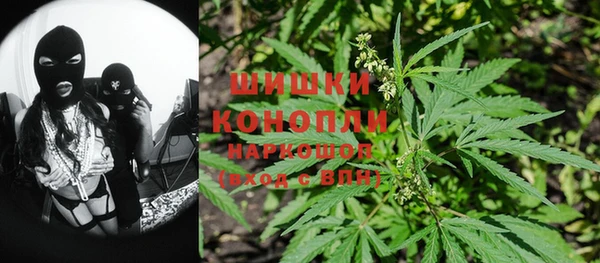 кристаллы Гусь-Хрустальный