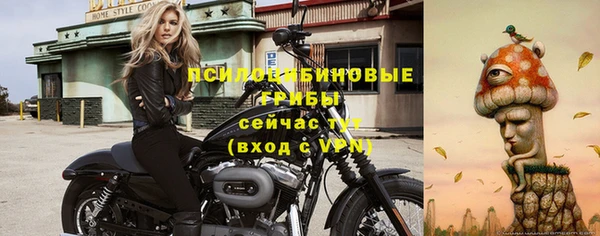 ешки Гусиноозёрск