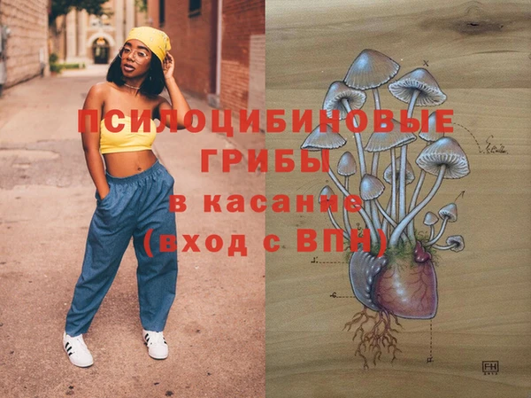 кристаллы Гусь-Хрустальный