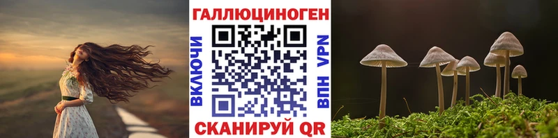 Галлюциногенные грибы Magic Shrooms  Купить  Майский 